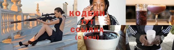 индика Абаза
