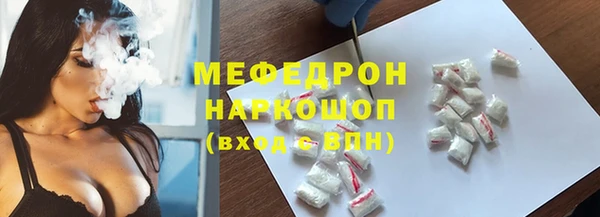 индика Абаза