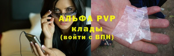 индика Абаза