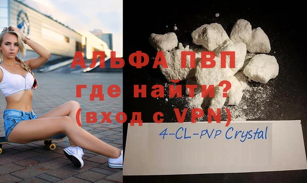 индика Абаза