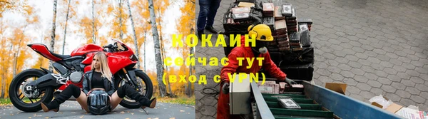 индика Абаза