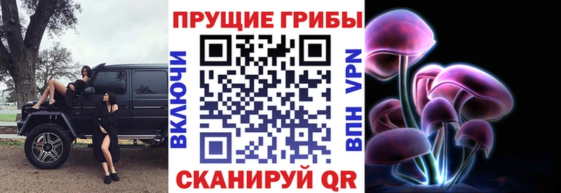 Галлюциногенные грибы мухоморы  Тарко-Сале 